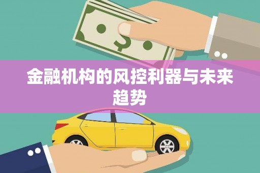 婺源金融机构的风控利器与未来趋势
