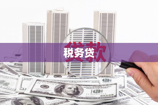 婺源税务贷