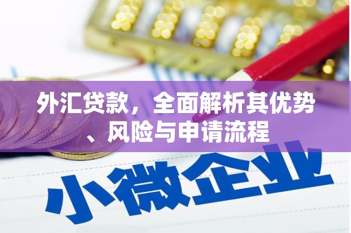 婺源外汇贷款，全面解析其优势、风险与申请流程