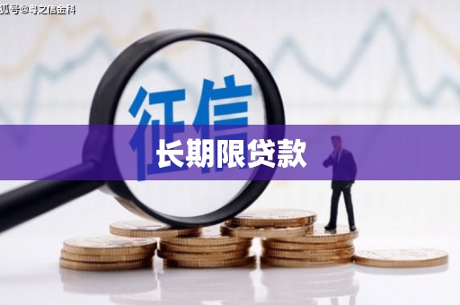 婺源长期限贷款