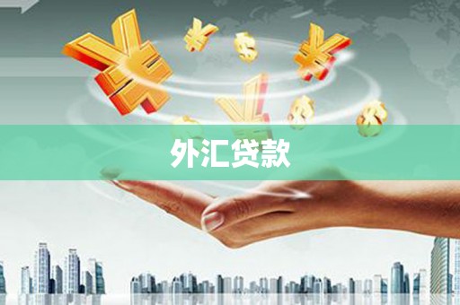 婺源外汇贷款