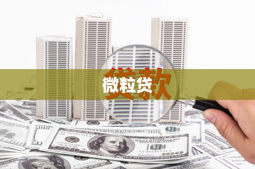 婺源微粒贷
