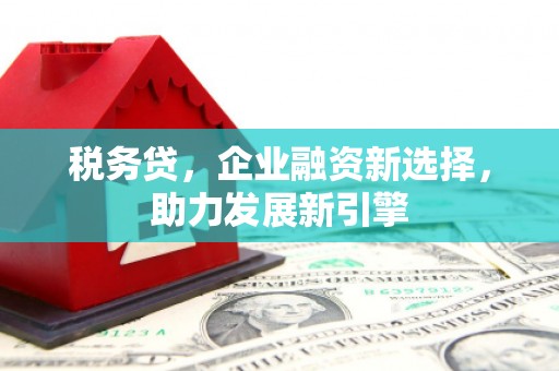 婺源税务贷，企业融资新选择，助力发展新引擎