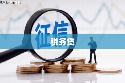 婺源税务贷