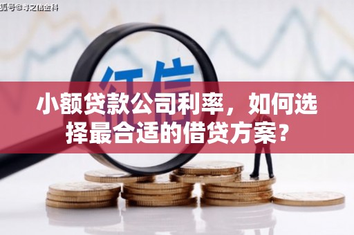 婺源小额贷款公司利率，如何选择最合适的借贷方案？