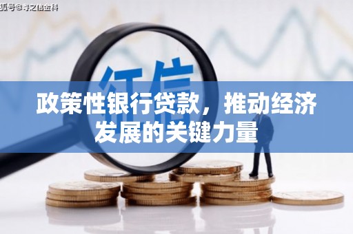 婺源政策性银行贷款，推动经济发展的关键力量