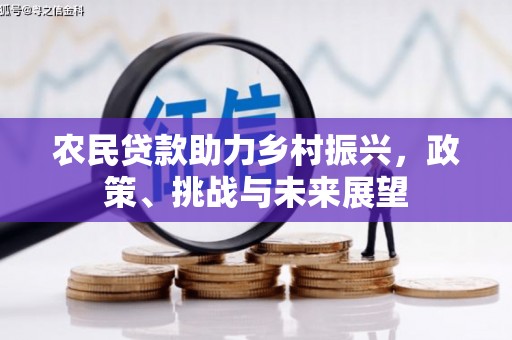 婺源农民贷款助力乡村振兴，政策、挑战与未来展望
