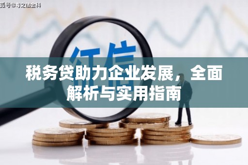 婺源税务贷助力企业发展，全面解析与实用指南