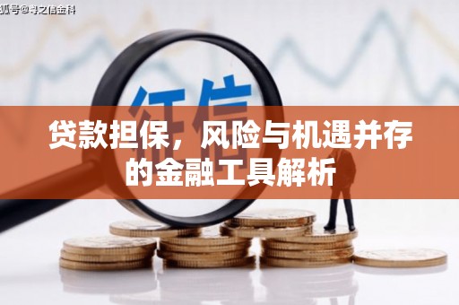 婺源贷款担保，风险与机遇并存的金融工具解析