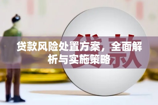 婺源贷款风险处置方案，全面解析与实施策略